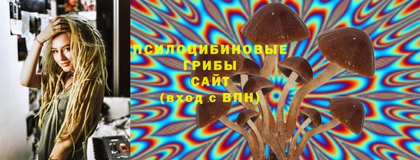 хмурый Верхний Тагил