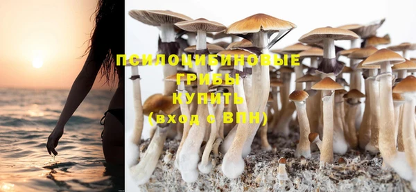 хмурый Верхний Тагил